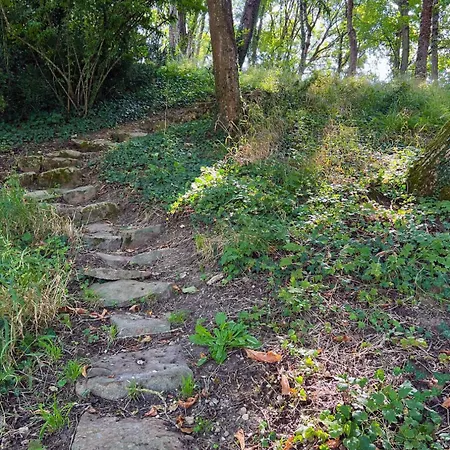 Dependance Du Chateau - 4 - Grande Salle Commune - Bord De Loire בית נופש