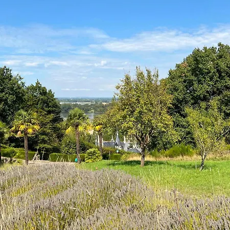 Dependance Du Chateau - 4 - Grande Salle Commune - Bord De Loire *