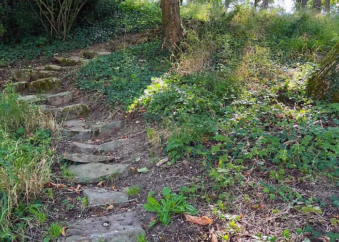 Dépendance Du Château - 4 - Grande Salle Commune - Bord De Loire Hébergement de vacances