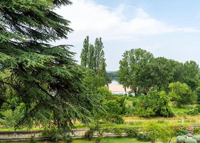 Hébergement de vacances Dépendance Du Château - 4 - Grande Salle Commune - Bord De Loire Gennes-Val-de-Loire