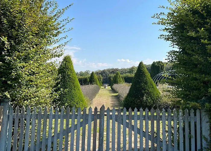 Dépendance Du Château - 4 - Grande Salle Commune - Bord De Loire *